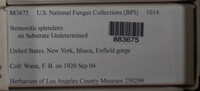 Image Associated With the Occurence